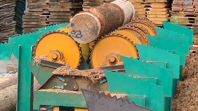 Mueller_H249_swt_häwa(1)